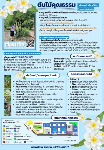 ตัวอย่างผลงานนักเรียน