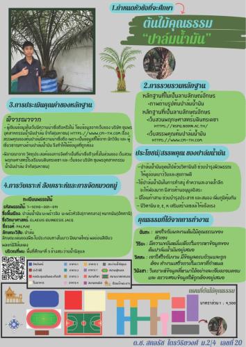 ตัวอย่างผลงานนักเรียน