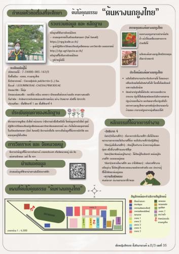 ตัวอย่างผลงานนักเรียน