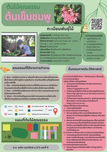 ตัวอย่างผลงานนักเรียน