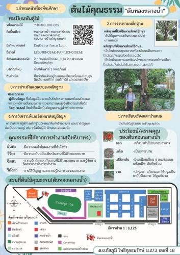 ตัวอย่างผลงานนักเรียน