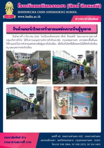 65รับคำแนะนำกำจัดยุงลาย